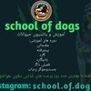 فرهاد مومی وند