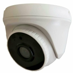 محسن پایمرد