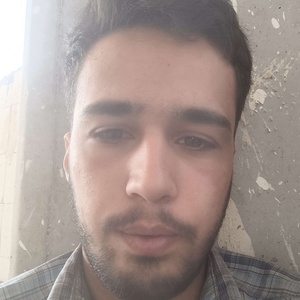 محمد حسین پاشایی گنبری