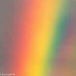 علی همتزاده