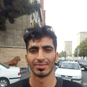 پوریا دانایی