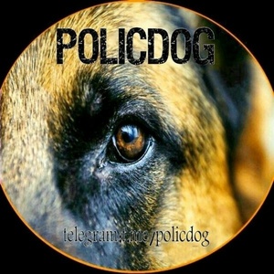 فرشاد رمضانی دولت آباد