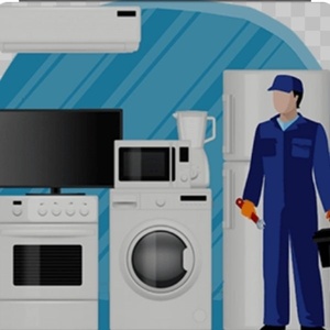 هومن مذنب پور