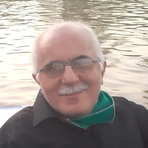 پرویز منصوری