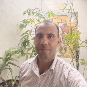 مجتبی قاسمی