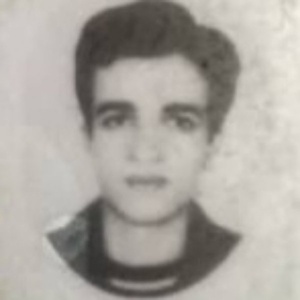 علی محمد دلاوری فیروزآبادی