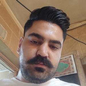 مجید محمودی