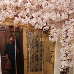 محمد ترابی ایزدموسی