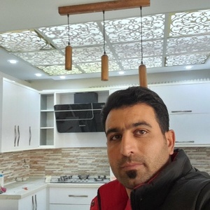 میثم شیراوند