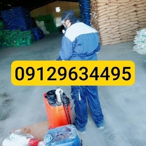 فرزانه فلاح