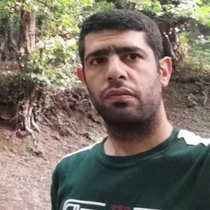 علیرضا الویری