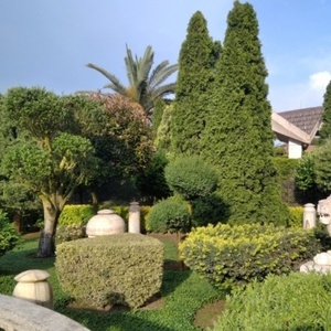 سعیده نوروزی اوحقار