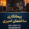 سعید امیری بادخور