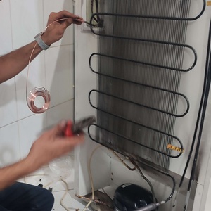 فریبا دوستی