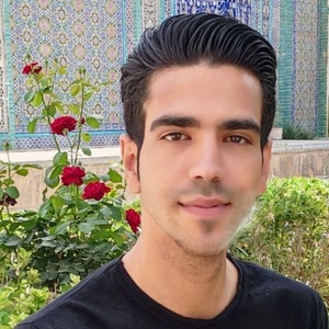 محمد امیر محمدی