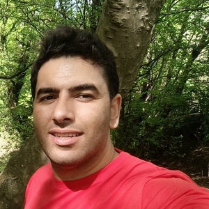 رضا عباسی روشن