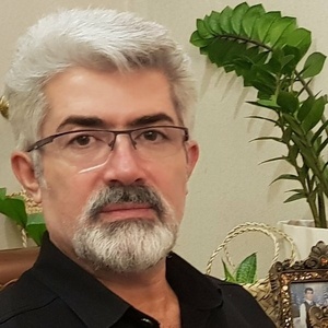 بهنام اکبری اصل