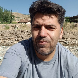 محمد طهمزپور میرزانلو