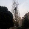 ابوطالب خوب بخت