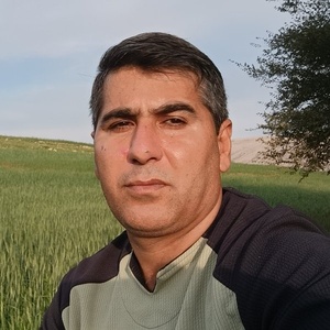 ستار ستاری فرد