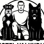 وحید حبیب دستجردی