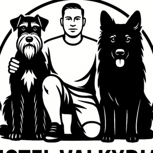 وحید حبیب دستجردی