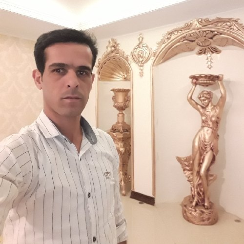 محمد جواد خالقی طرقی