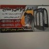 حمید توکلی