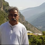 حمید سلمانزاده