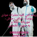 سامان راستگو