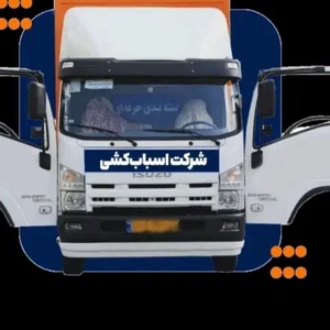 سعید تیموری