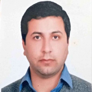 حمید گودرزی