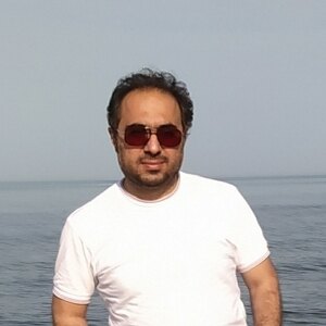 سید مهدی مفتی الشیعه