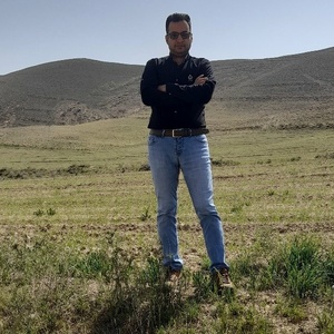 هادی صولت زاده