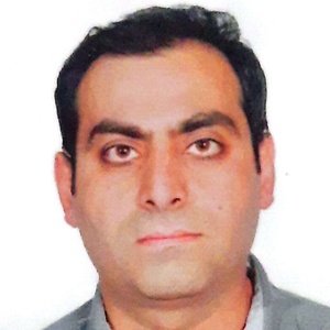 رضا شیخ حسنی