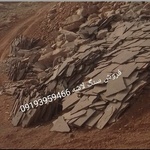 عباس عباسی فشمی