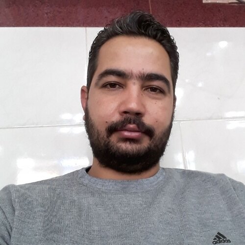 عادل جمشیدی