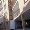 سیدرضا سیدعلوی