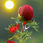 بهمن طالبی ابر