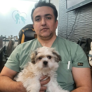 علیرضا جباری