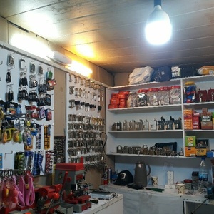 ابراهیم گنجی