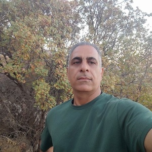 مجتبی نعمتی