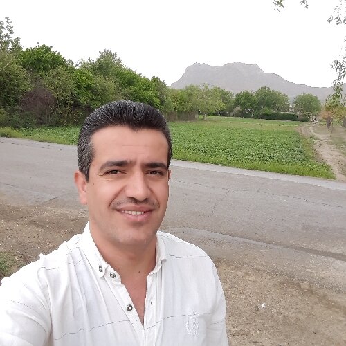 علی شیخی مورچگانی