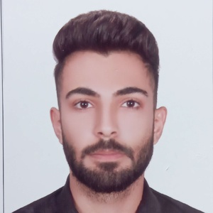 امیرحسین عابدی قره جقه