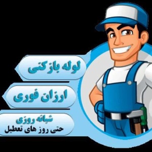 امیررضا شالی