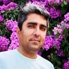 یاور طالبی کردلر