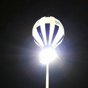 سید هاشم هاشمی