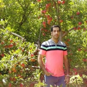 بهزاد معظمی گودرزی