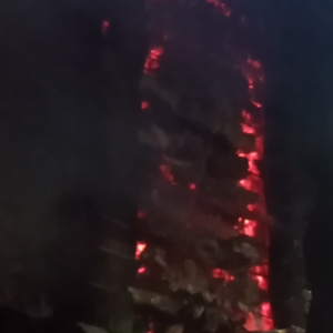 مصیب علی مرادی