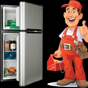 امیر یاراحمدی